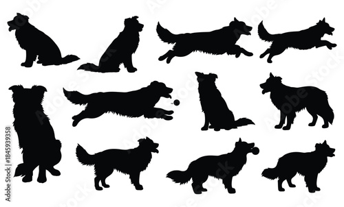 Border collie dog silhouettes collection showing various poses and activities