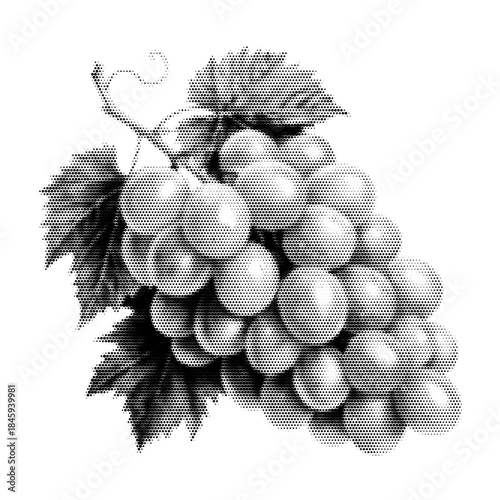 Grapes with leafs vintage y2k halftone art, vine fruit stipple brutalist retro vector png with transparent background, lush 2000s aesthetic photocopy effect tattoo
