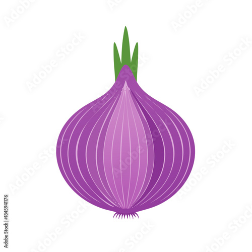Stylized Purple Onion Head with Sprout Top Illustration Flat Design Food Ingredient Kitchen Cooking Culinary Herb Spice Vegetables