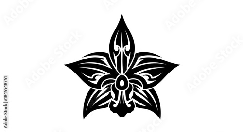 Elegant black and white vector illustration of an orchid flower.