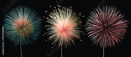 3D vector illustration fireworks on a black background
