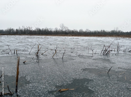 frozen lake in winter on the floodplains of the Mississippi River in Missouri