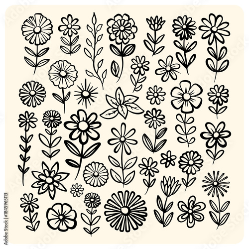 Black and White Hand-Drawn Floral Doodle Collection