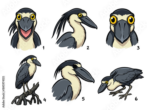 Cartoon illustrations of a boat billed heron bird.
