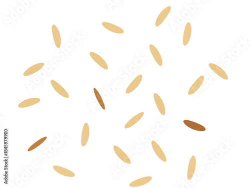 A minimalistic and clean graphic illustration featuring a scattered pattern of various light and dark brown rice grains, perfect for culinary art, food packaging design, and healthy eating promotions