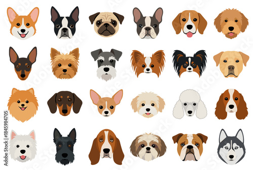 Cute Dog Breed Heads with Transparent Background Featuring Various Canine Faces