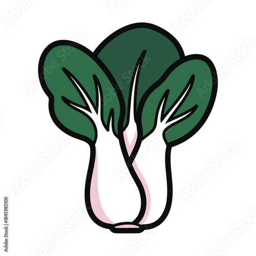 A cartoon illustration of a bok choy vegetable with dark green leaves and light pink stems, on a white background.