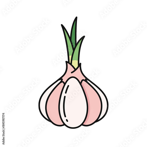 A simple, stylized illustration of a garlic bulb with green shoots emerging from the top. The bulb is depicted with soft pink and white cloves outlined in black.