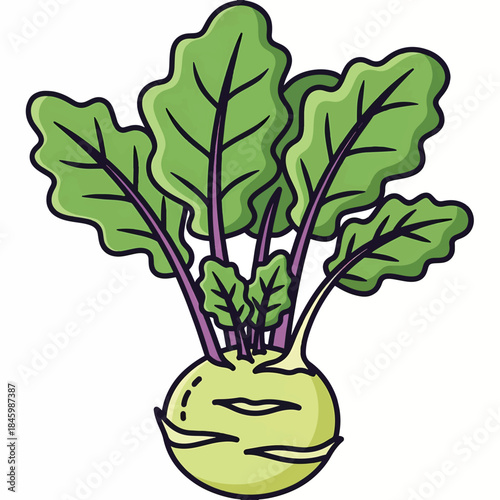 A stylized illustration of a kohlrabi vegetable with green leaves and purple stems, set against a white background.