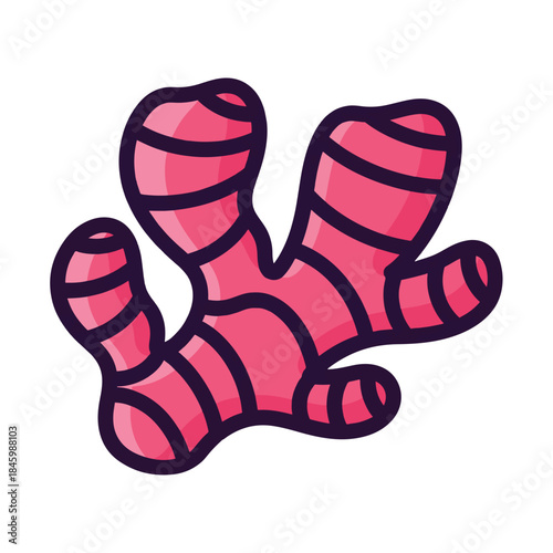 A vibrant cartoon illustration of a ginger root, featuring a bright pink body with darker red striped details and a thick dark outline, set against a clean white background.