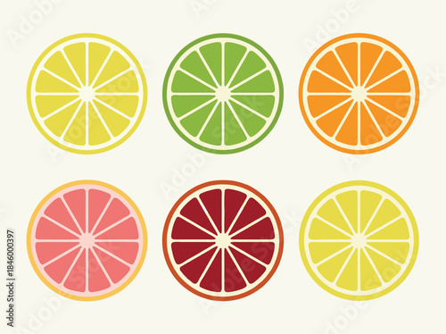 Collection of Citrus Fruit Slices.