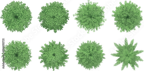 Top-view green shrubs and bushes illustration, showcasing lush foliage, landscape elements, natural plant textures, and botanical greenery for garden design projects.