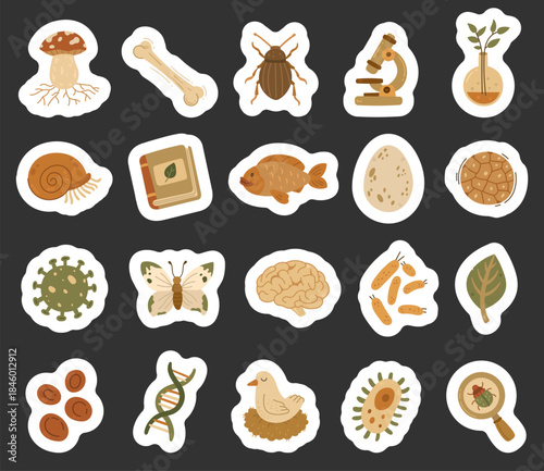 Biology set in scandinavian style showing mushroom, bone, beetle, microscope, flask, shell, book, fish, egg, cells, virus, butterfly, brain, bacteria, leaf