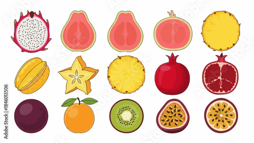 Diverse Collection of Exotic Fruit Slices and Whole Fruits Vector Art