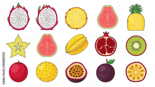 Assortment of Exotic Tropical Fruits Cut in Half and Sliced, Vector Illustration