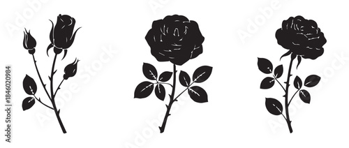 Three silhouette rose flowers on stems and buds isolated on white background black botanical illustration