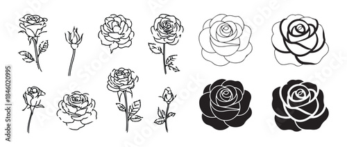 Set of outline rose flowers and buds on stems isolated on white background hand drawn illustration