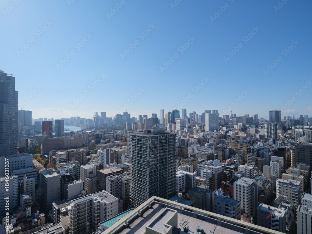 Naklejka premium 東京都の眺望