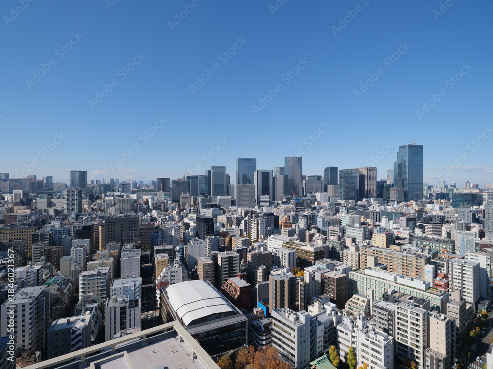 Obraz premium 東京都の眺望