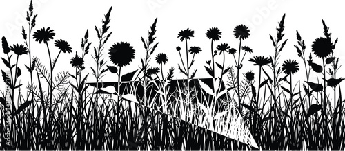 Black Silhouette of Wild Grasses, Meadow Flowers, and Weeds Border on White Background Vector Illustration for Nature and Summer Design.