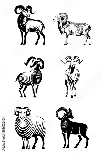 Jacob Sheep Ram Illustration Set. Black on Isolated Background