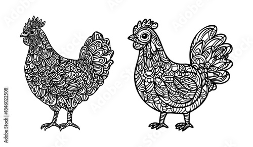 Zentangle Chicken Line Art Illustration Set