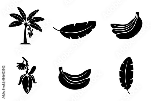 Various elements of bananas illustrated in black and white, including a tree, leaves and banana fruit clusters. Simple and stylish. 