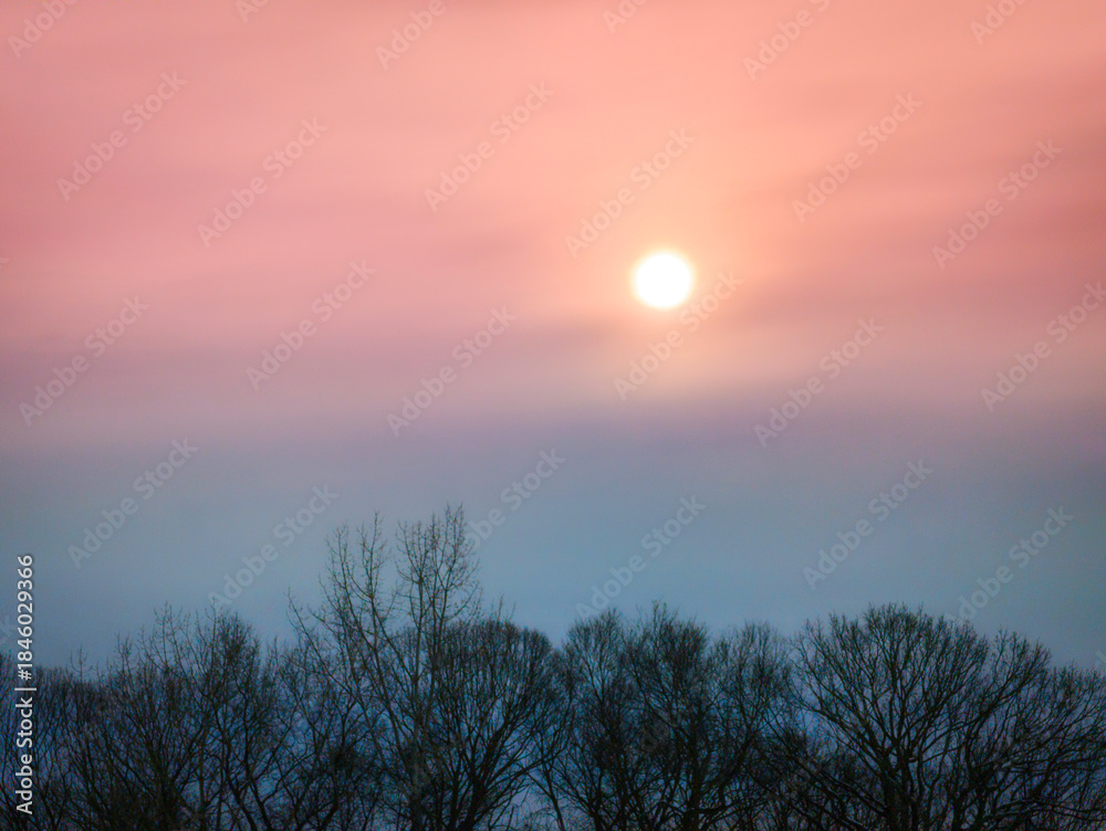 Obraz premium Sunrise over the winter forest with bare branches against pink clouds in the blue sky, a tranquil winter landscape of New England in America.