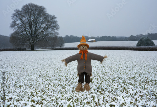 Winter field with scarecrow, knitted hat, overcast winter day