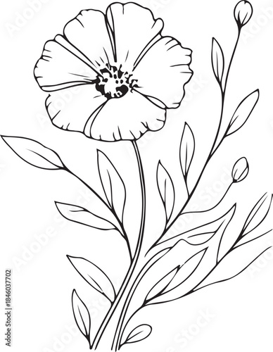 Flower doodle background vector. Poppy flowers in continuous line art drawing style. minimal line flower and botanical graphic sketch drawing.