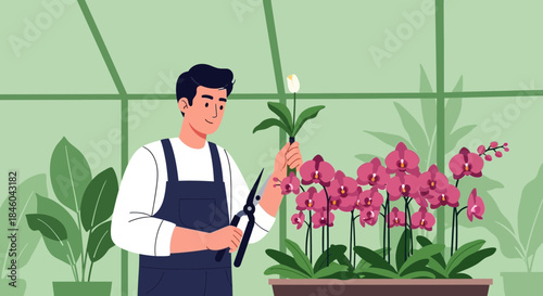 Gardener tending to orchid plants in greenhouse.