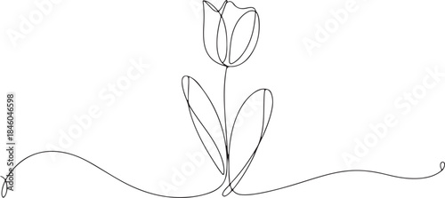 Tulip one line drawing. Continuous line drawing of flower tulip.Abstract flower continuous line. Minimalist contour drawing of tulip.