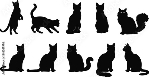 Black cat silhouettes collection with playful sitting walking standing poses isolated vector icons for pet illustration branding stock design
