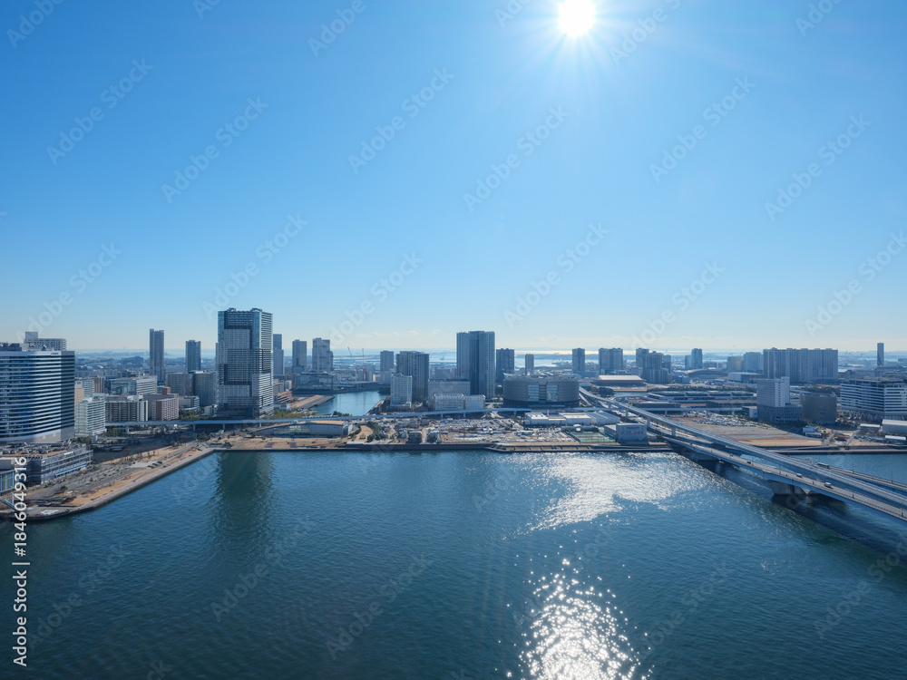 Obraz premium 東京都の眺望