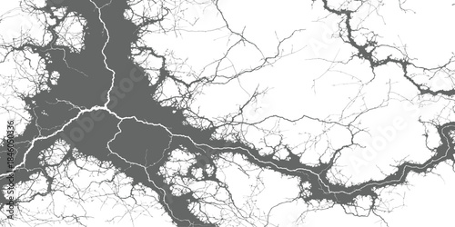 High Contrast Abstract Cracks and Root Network Vector Texture Grunge Background Graphic Design Element