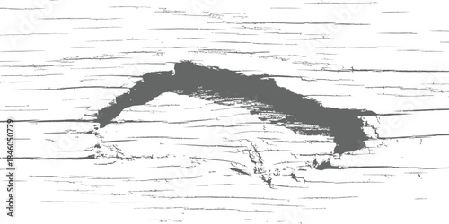 Abstract distressed vector texture simulating peeling birch bark surface Grunge overlay background in gray and white