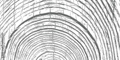 Grayscale Distressed Wood Grain Texture Vector Background Annual Growth Rings Pattern