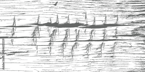 Monochrome Distressed Wood Texture Vector Grayscale Grunge Background