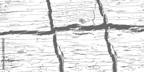 Monochrome Grunge Vector Texture of Cracked Weathered Wood Grain Pattern Background