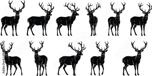 Deer Stag Buck Silhouettes Set Collection Various Poses Black Vector Illustration Graphic Design Wildlife Nature Hunting Christmas Reindeer Animal Icon Elements Isolated.