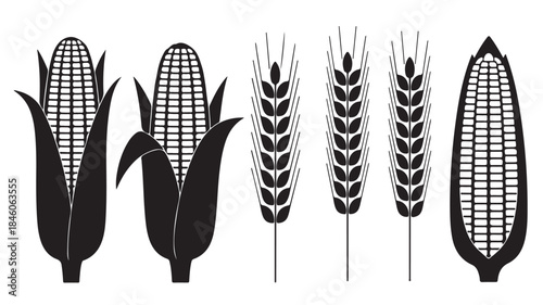 Corn and Wheat Grains Minimalist Graphic Monochrome Black and White Flat Silhouette Icons for Agriculture and Food Industry.
