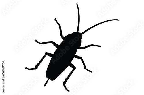 Cockroach silhouette vector, pest animal symbol, Cockroach icon, cockroach walking silhouette vector
