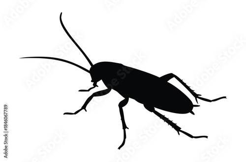 Cockroach silhouette vector, pest animal symbol, Cockroach icon, cockroach walking silhouette vector