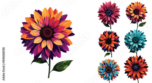 Colorful sunflowers with transparent background