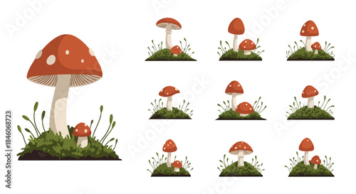 Red mushrooms in grass with transparent background