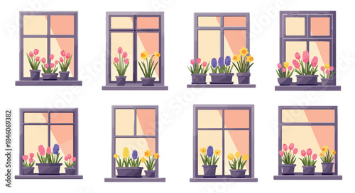 Windowsills with potted flowers springtime scene