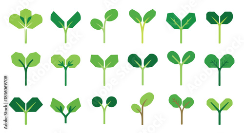 Green plant leaves collection with transparent background