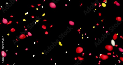 Colorful rose petals sway in the wind. Isolated on black background. 4K 3D rendering loop animation.