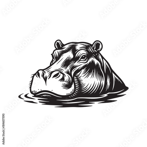Hippopotamus Head Swimming in Water Vector Illustration in Black and White Silhouette Style
