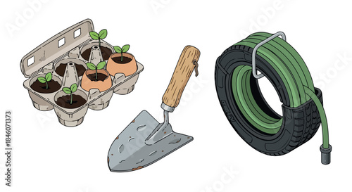 Gardening tools and seedlings in egg carton